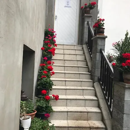 ゲストハウス Vilo ブラチスラヴァ